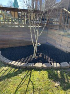 A neatly mulched garden bed surrounding a tree next to a wooden deck by The Otherside Lawn Solutions in Ankeny, IA.