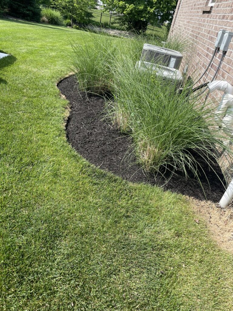 A neatly mulched garden bed featuring tall ornamental grasses next to a residential building, cared for by Jerman Lawn Care in Bozeman, MT.