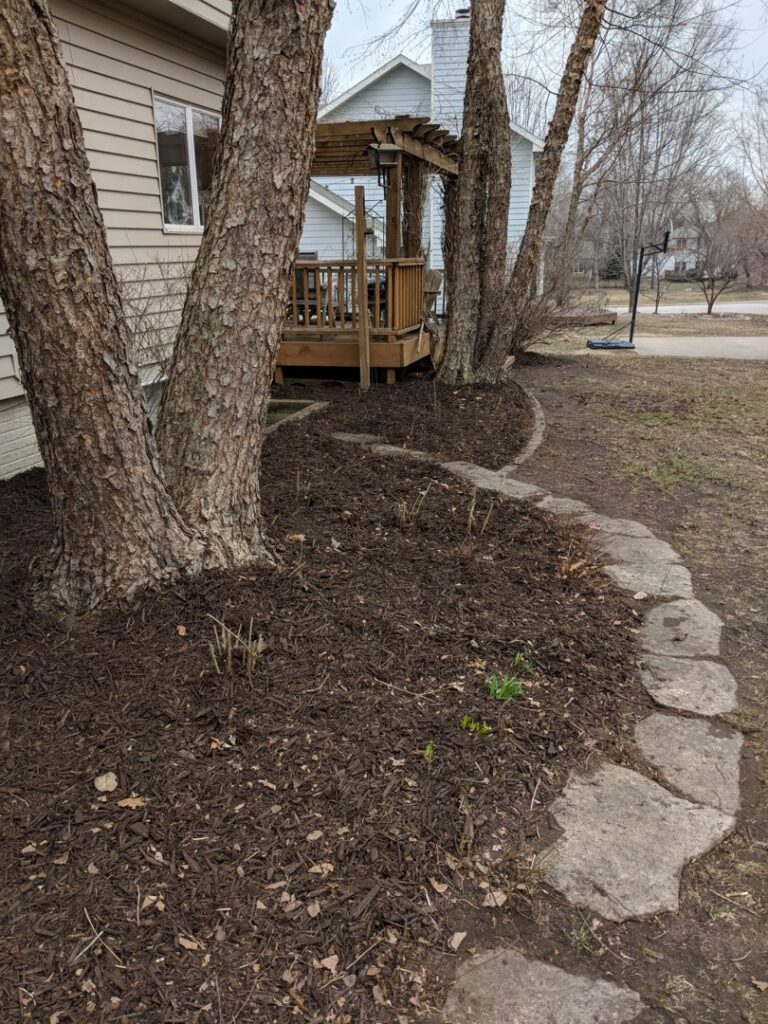 Freshly mulched tree beds with a decorative stone border, showcasing detailed yard maintenance by Nice & Precise Lawn Care in Ames, IA.