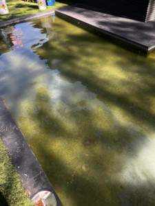 A murky, dirty pool with visible bottom tiles, showing a need for cleaning by Vegas Integrity Pool Service in Las Vegas, NV.