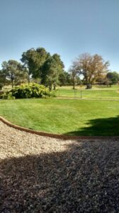 A neatly maintained lawn with decorative gravel edging by Green Thumb Lawn Care & Maintenance, LLC in Rio Rancho, NM.