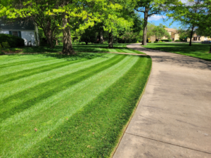 A neatly striped lawn alongside a clean concrete driveway, expertly maintained by A & B Lawn Service LLC in Baytown, TX.