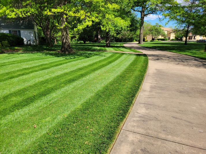 A neatly striped lawn alongside a clean concrete driveway, expertly maintained by A & B Lawn Service LLC in Baytown, TX.