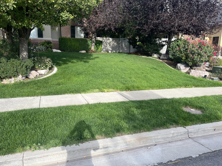 A neatly trimmed green lawn with clean edges along a sidewalk by Lakeside Lawn Care in Sanford, NC.