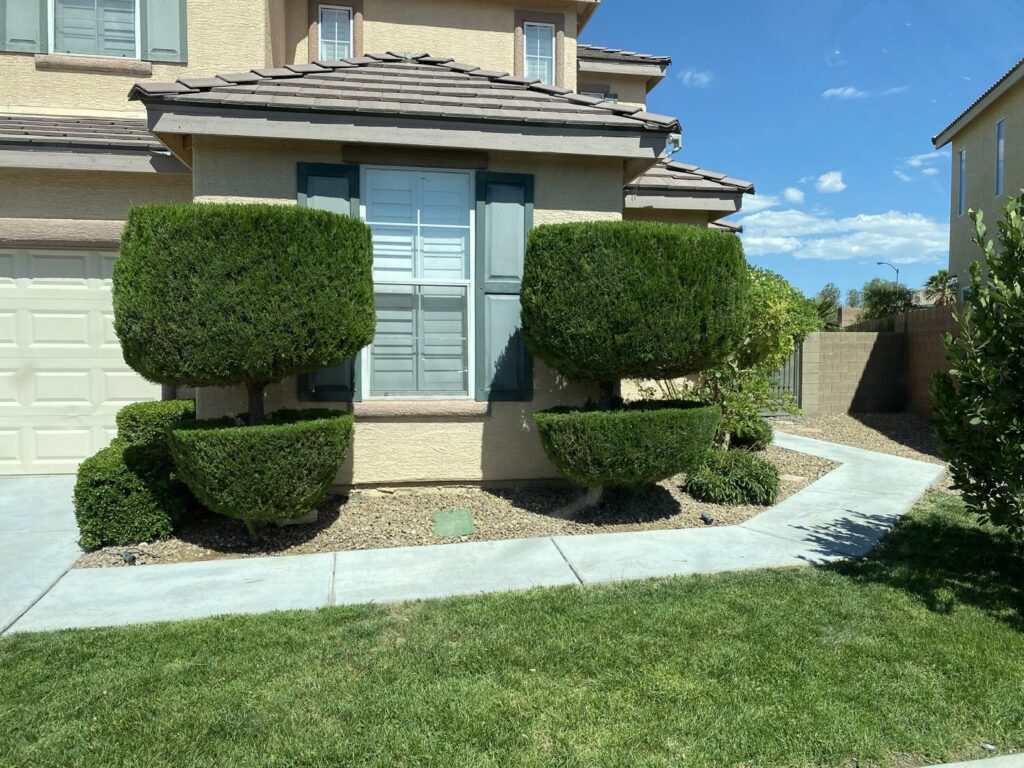 A well-maintained front yard with neatly trimmed hedges and a vibrant green lawn by Jireh landscaping and maintenance in Henderson, NV