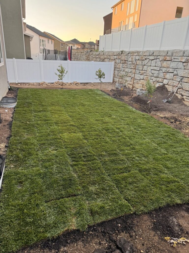 Newly installed sod covering a residential backyard, showcasing a completed project by Aspen Sod in Layton, UT.