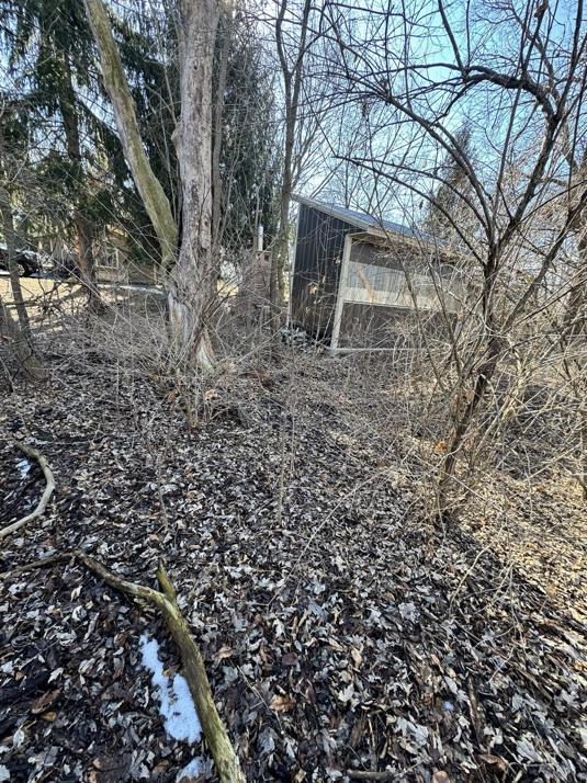 An old outbuilding in a wooded area ready for demolition by R & S General Services LLC in Racine, WI