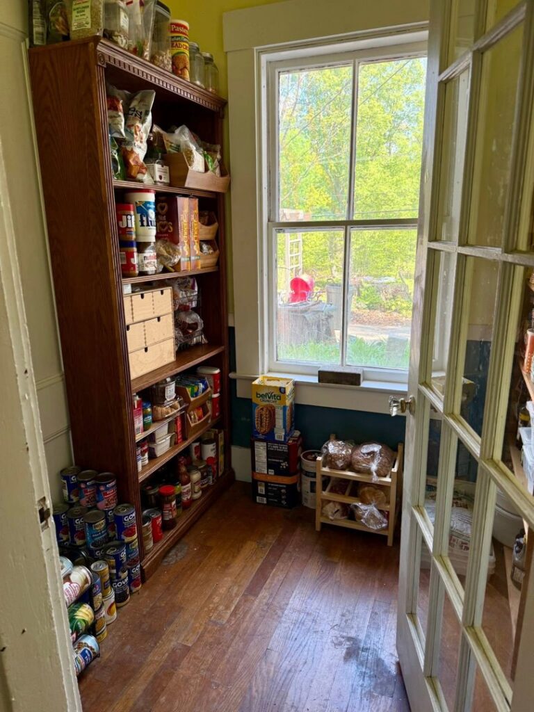 An organized pantry with shelves full of food and supplies by KDG Decluttering in Manchester, NH.