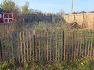 An overgrown backyard before cleanup by All in- Landscaping and Power-washing in Fayetteville, AR.