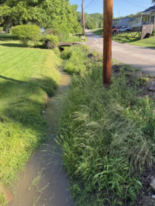 An overgrown ditch before trimming, highlighting the need for professional lawn care services from Ripley's Lawn Care, LLC in Charleston, WV.