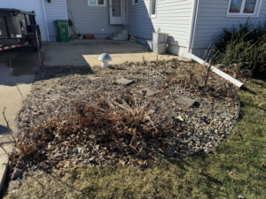 Overgrown garden bed needing professional cleanup and maintenance from Elite Property Care in Albany, NY.