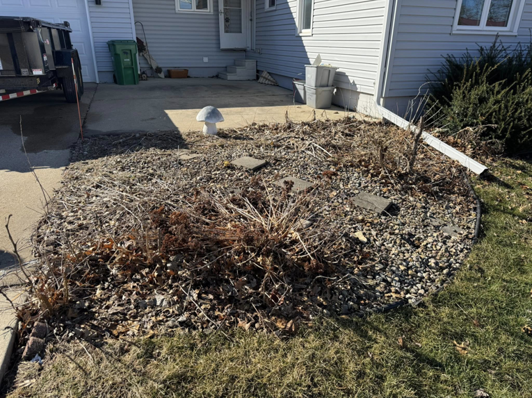 Overgrown garden bed needing professional cleanup and maintenance from Elite Property Care in Albany, NY.