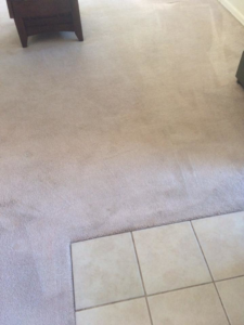 A carpeted floor showing clean lines and a transition to tile, indicating professional cleaning by Rife's Services in Kapolei, HI