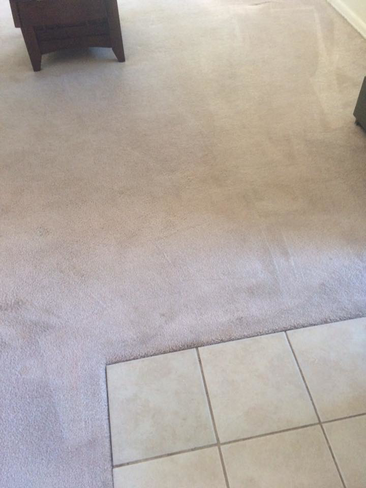A carpeted floor showing clean lines and a transition to tile, indicating professional cleaning by Rife's Services in Kapolei, HI