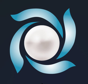 Pearl Commercial Cleaning Services LLC