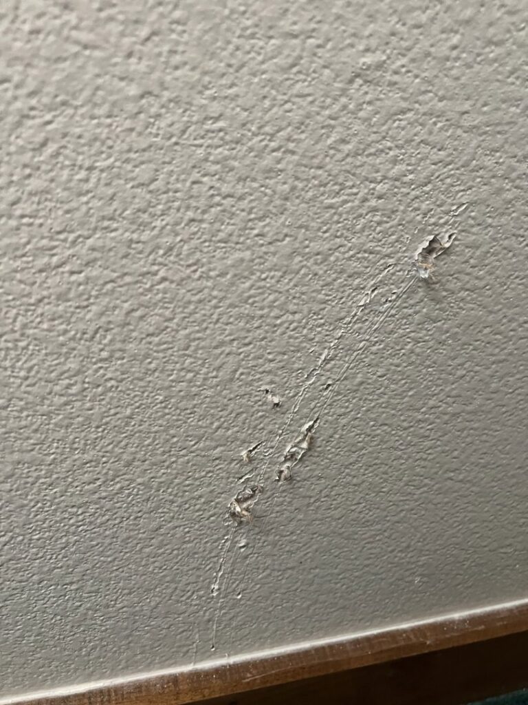 Peeling paint on a wall, a clear sign of moisture damage, indicating restoration work by Advanced Restoration LLC in Salt Lake City, UT.