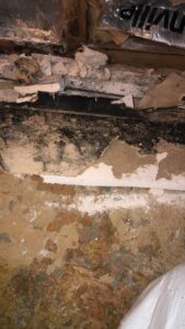 Peeling paint and dark mold growth on a wall, indicating severe water damage requiring remediation by Quality Remediation llc in Everett, WA.