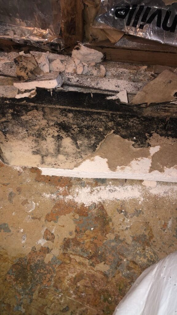 Peeling paint and dark mold growth on a wall, indicating severe water damage requiring remediation by Quality Remediation llc in Everett, WA.