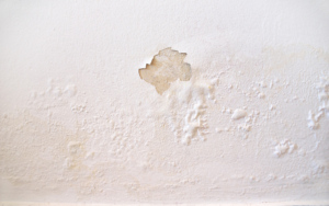 Peeling paint and water stains on a wall, indicating water damage, addressed by Robillard Plumbing in Maple Grove, MN.
