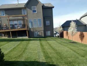A perfectly mowed backyard lawn with distinct stripes by Amazing Lawns & Lighting in Omaha, NE.