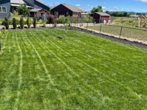 A perfectly mowed backyard lawn with crisp stripes, demonstrating expert lawn care from Matt's Lawn Service in Casper, WY.
