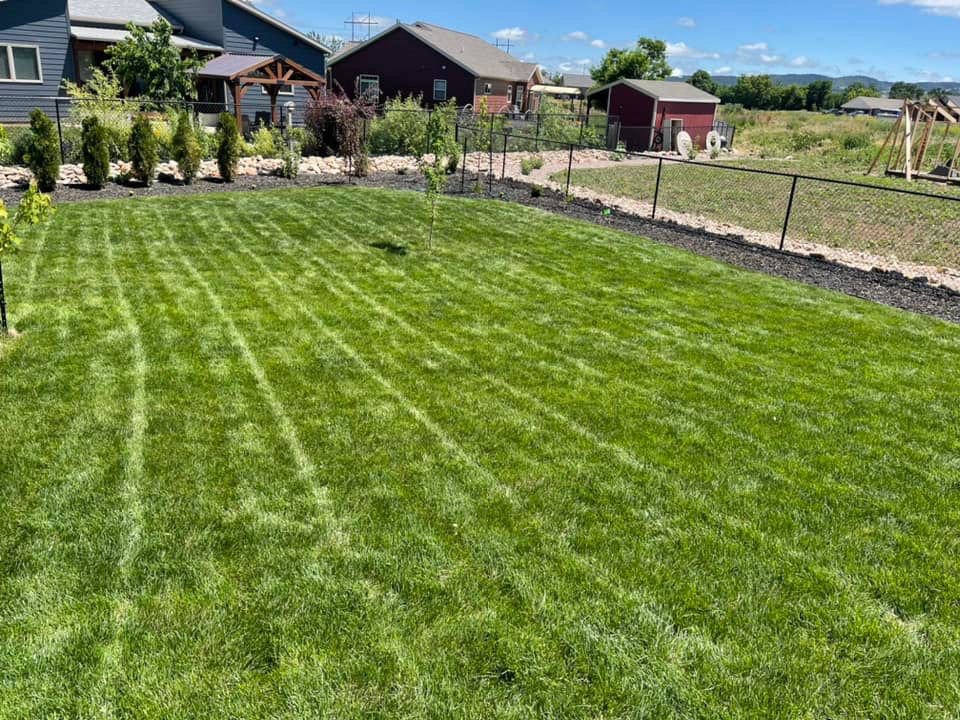 A perfectly mowed backyard lawn with crisp stripes, demonstrating expert lawn care from Matt's Lawn Service in Casper, WY.