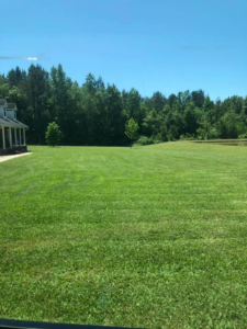 A perfectly mowed green lawn in front of a house, showcasing the quality work of Lee's Lawn Care Services, LLC in Hattiesburg, MS.