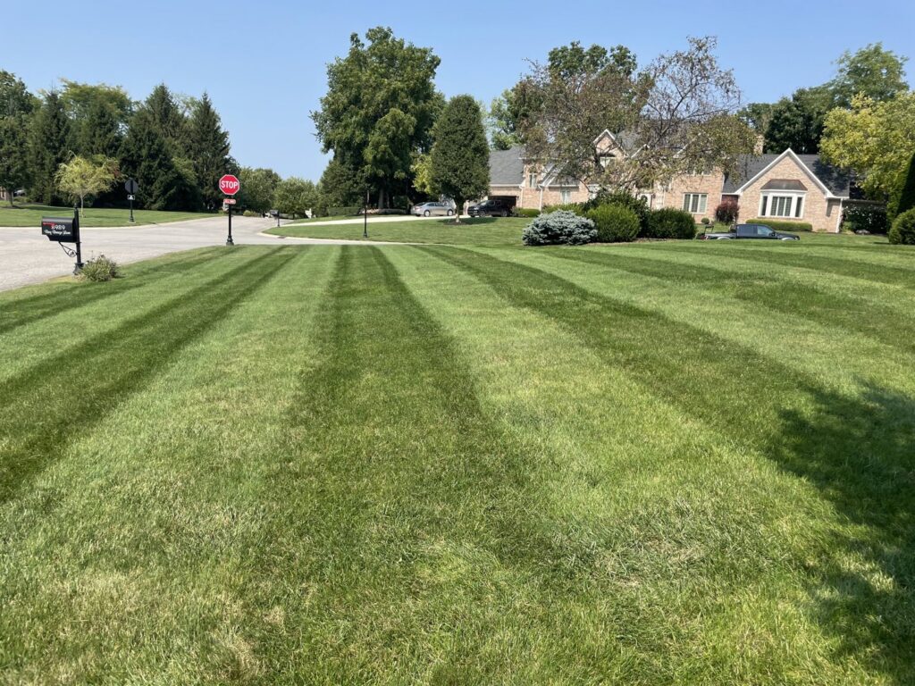 A large, perfectly mowed lawn with distinct stripes, demonstrating expert lawn care by Jerman Lawn Care in Bozeman, MT.