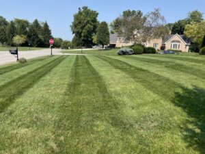 A large, perfectly mowed lawn with distinct stripes, demonstrating expert lawn care by Jerman Lawn Care in Bozeman, MT.