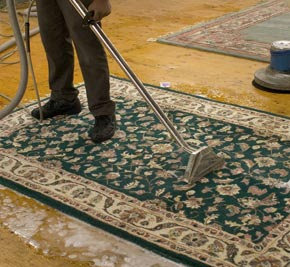 A professional from ProClean365 cleaning an area rug with a carpet machine in Norfolk, VA.