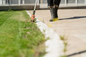 A professional using a string trimmer to precisely edge a lawn along a paved path for Backcountry Lawn Service in Missoula, MT.