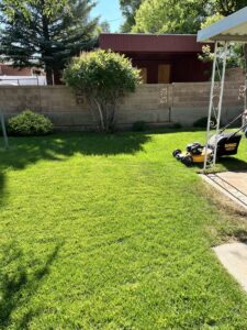 A person pushing a yellow walk-behind lawn mower across a lush green lawn, performing lawn care for ResClean Property Maintenance in Rock Springs, WY.