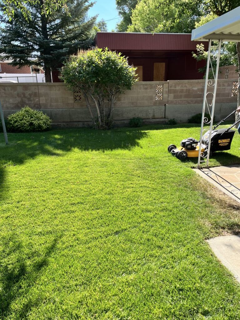 A person pushing a yellow walk-behind lawn mower across a lush green lawn, performing lawn care for ResClean Property Maintenance in Rock Springs, WY.