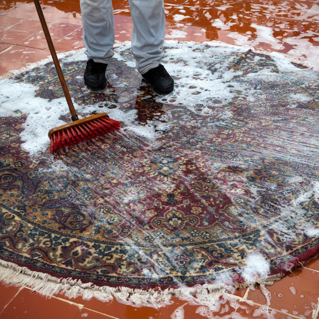 A person scrubbing a round patterned rug with a broom and soapy water, demonstrating cleaning by Phoenix Move Out House Cleaning Pros in Chandler, AZ
