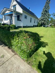 A person actively shoveling snow from a sidewalk, demonstrating snow removal services by Knight's Landscaping & Snow Removal in Buffalo, NY.