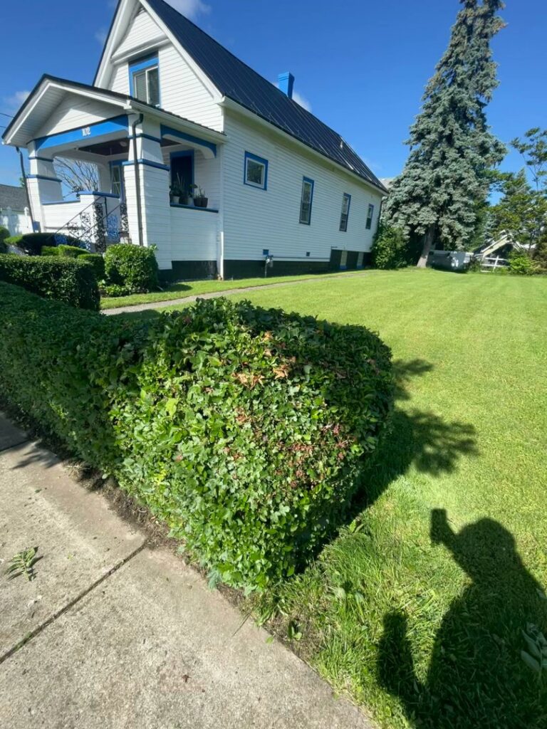 A person actively shoveling snow from a sidewalk, demonstrating snow removal services by Knight's Landscaping & Snow Removal in Buffalo, NY.