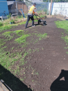 A lawn care professional using a roller for ground preparation at Total Lawn Care Service in Littleton, CO.