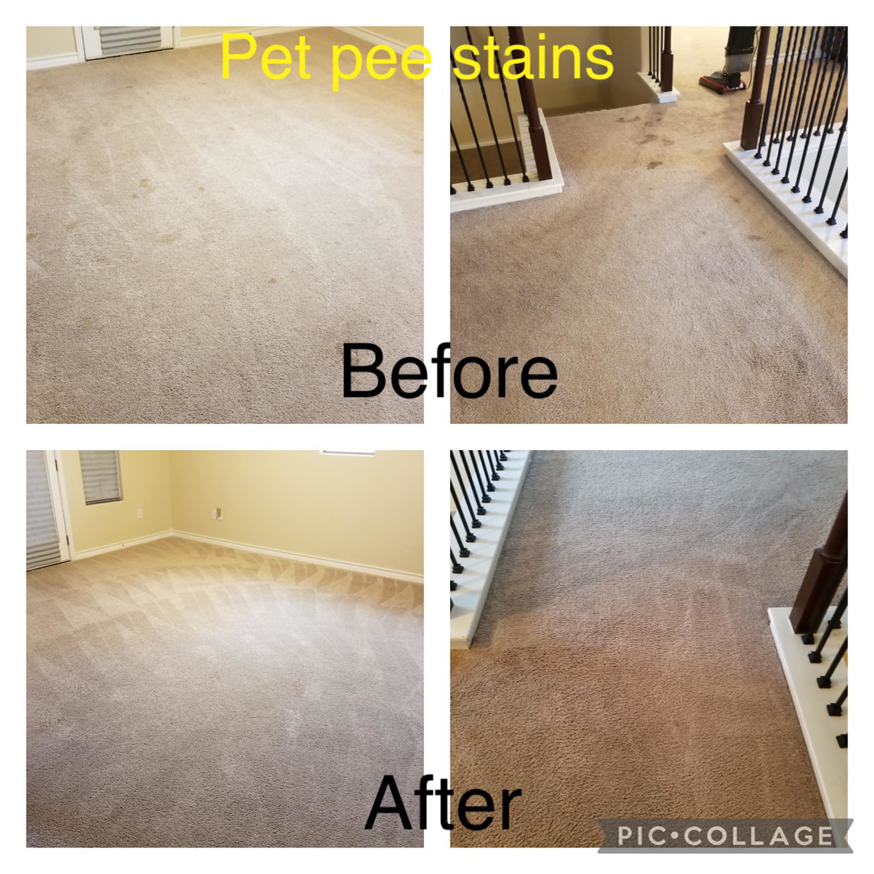 Before and after photos of pet pee stain carpet cleaning by Leo's Cleaners in Laredo, TX