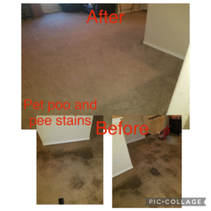 Before and after photos of pet poo and pee stain carpet cleaning by Leo's Cleaners in Laredo, TX