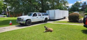 A white pickup truck towing a large white enclosed trailer for Inglewood Transmission in Long Beach, CA.