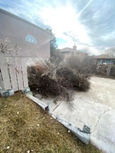 A large pile of cut branches and brush from a landscaping job by Green Thumb Lawn Care & Maintenance, LLC in Rio Rancho, NM.