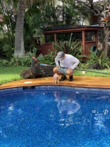 A pool cleaner inspecting a residential pool with a cleaning pole for East Oahu Pools in East Honolulu, HI.