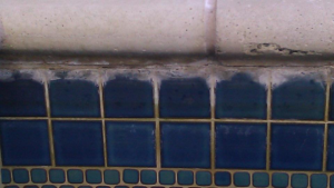 Close-up of pool tiles with calcium buildup, a common issue addressed by Fresh & Clear Pool Service Inc. in Henderson, NV.