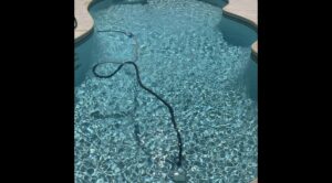 A robotic pool vacuum cleaning the bottom of a sparkling clean pool by Overflow Poolz LLC in Las Vegas, NV.