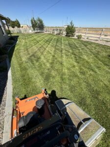 Point-of-view from a mower, showing a freshly striped lawn next to a white fence by Luna's Lawn Care LLC in West Des Moines, IA.