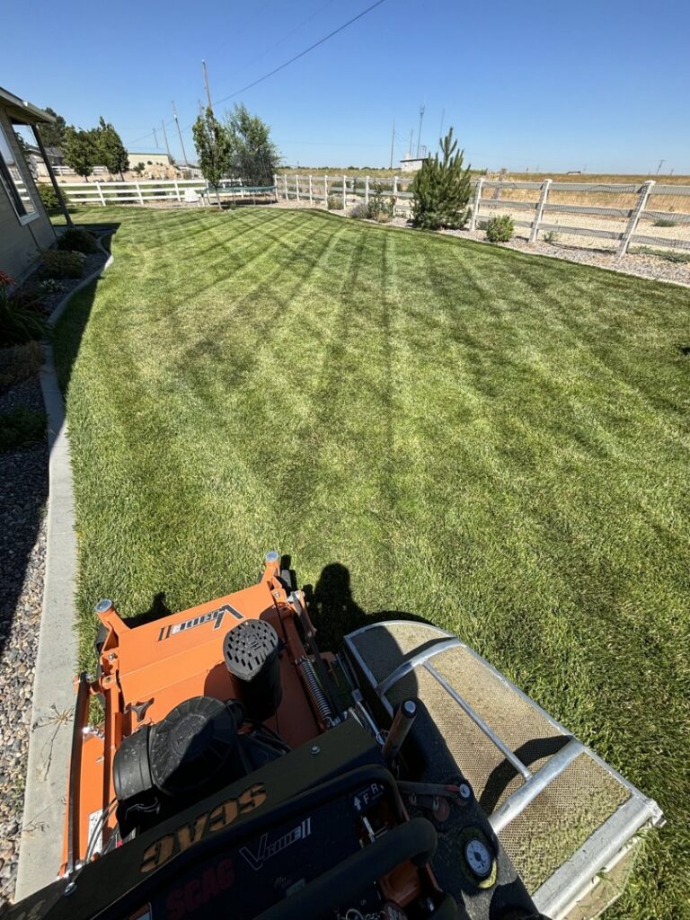 Point-of-view from a mower, showing a freshly striped lawn next to a white fence by Luna's Lawn Care LLC in West Des Moines, IA.
