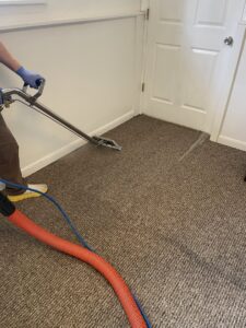 A professional performing carpet cleaning with a wand for Happy Client Cleaning Services in Fort Collins, CO.
