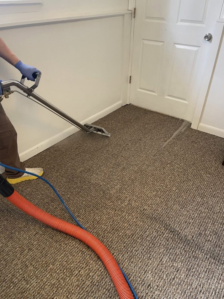 A professional performing carpet cleaning with a wand for Happy Client Cleaning Services in Fort Collins, CO.