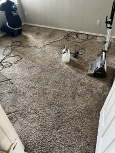 A professional performing carpet cleaning with specialized equipment in a home, provided by Blubyrd Cleaning Service in Boise, ID.