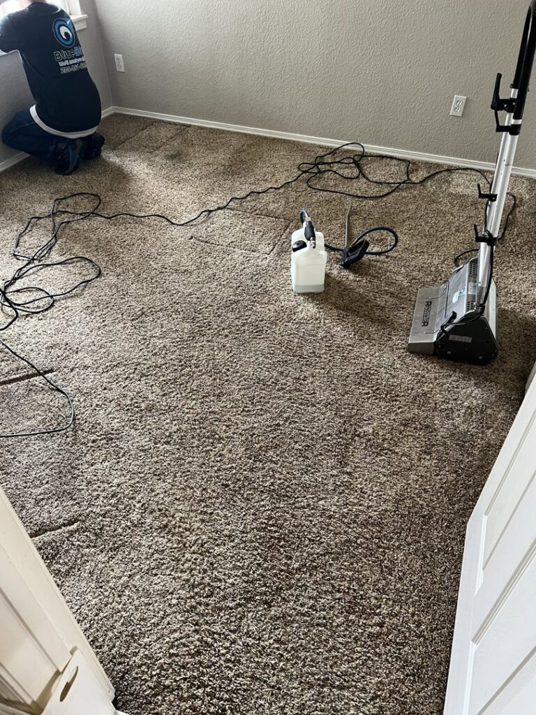A professional performing carpet cleaning with specialized equipment in a home, provided by Blubyrd Cleaning Service in Boise, ID.